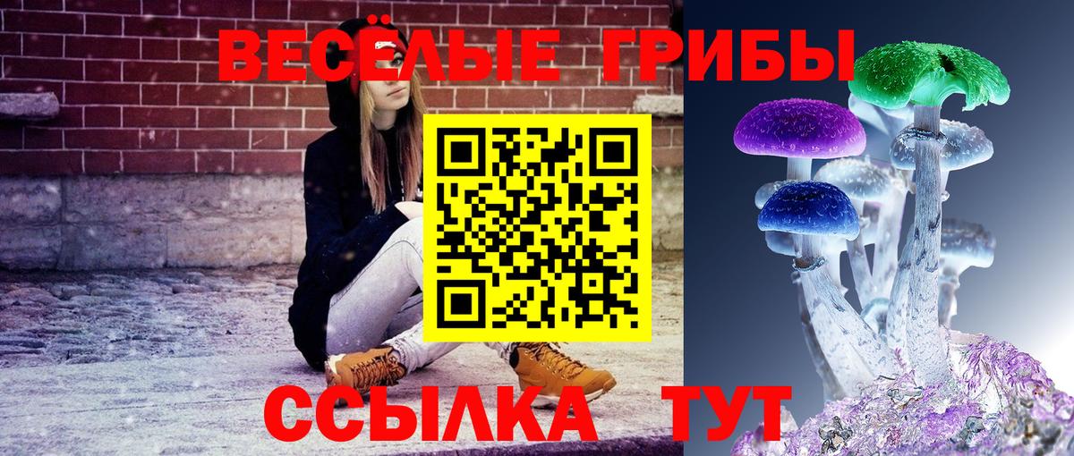 Туймазы  Псилоцибиновые грибы MAGIC MUSHROOMS  Вход с VPN 